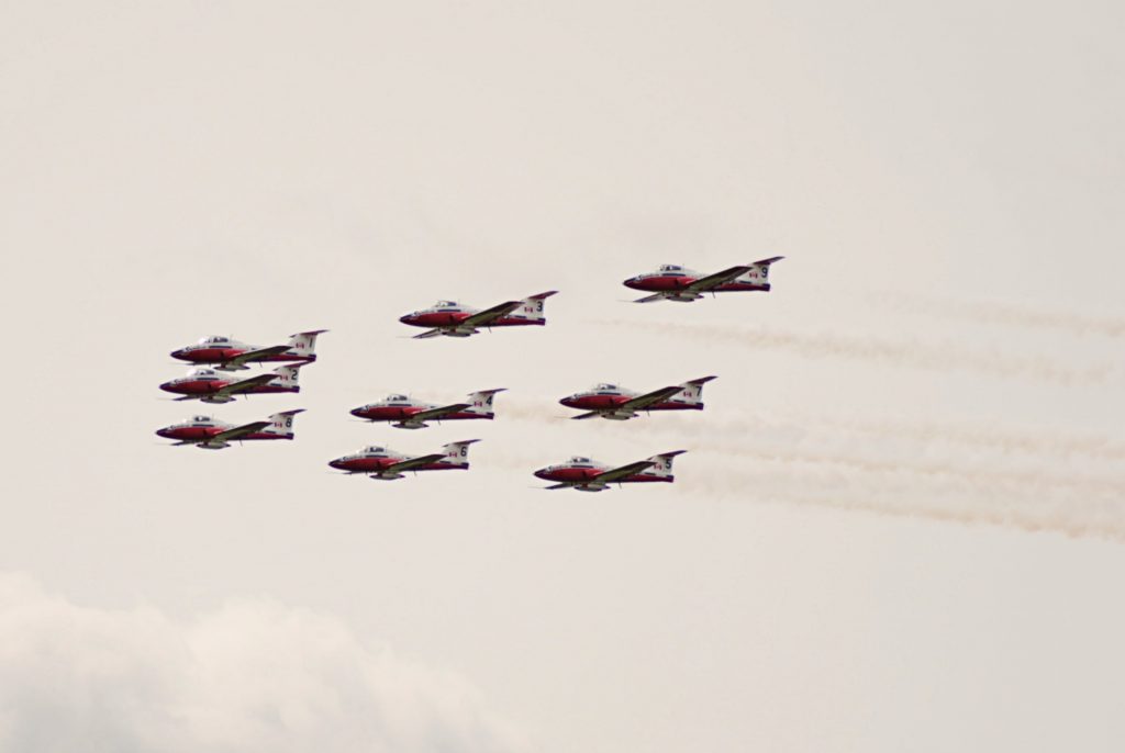 Snowbirds 