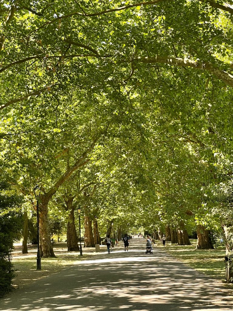 L'allée centrale de Battersea Park