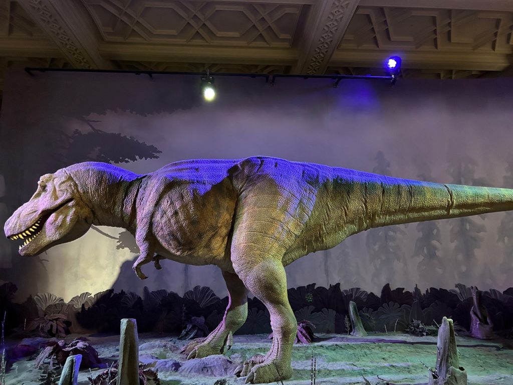 Le tyranosaure du musée d'histoire naturelle